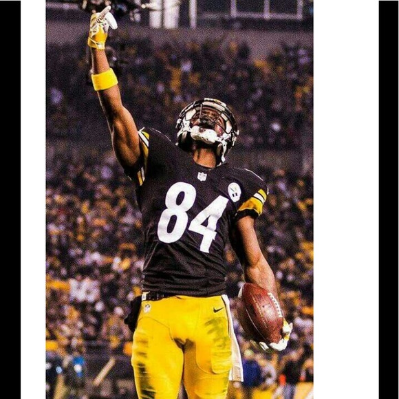 Meet your Posher, Keaton - Picture 1 of 1